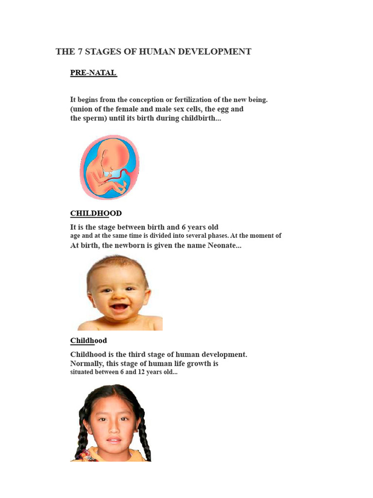 The 7 Stages of Human Development | PDF