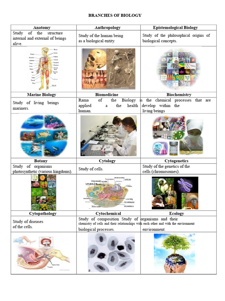 Branches of Biology | PDF | Zoology | Biology