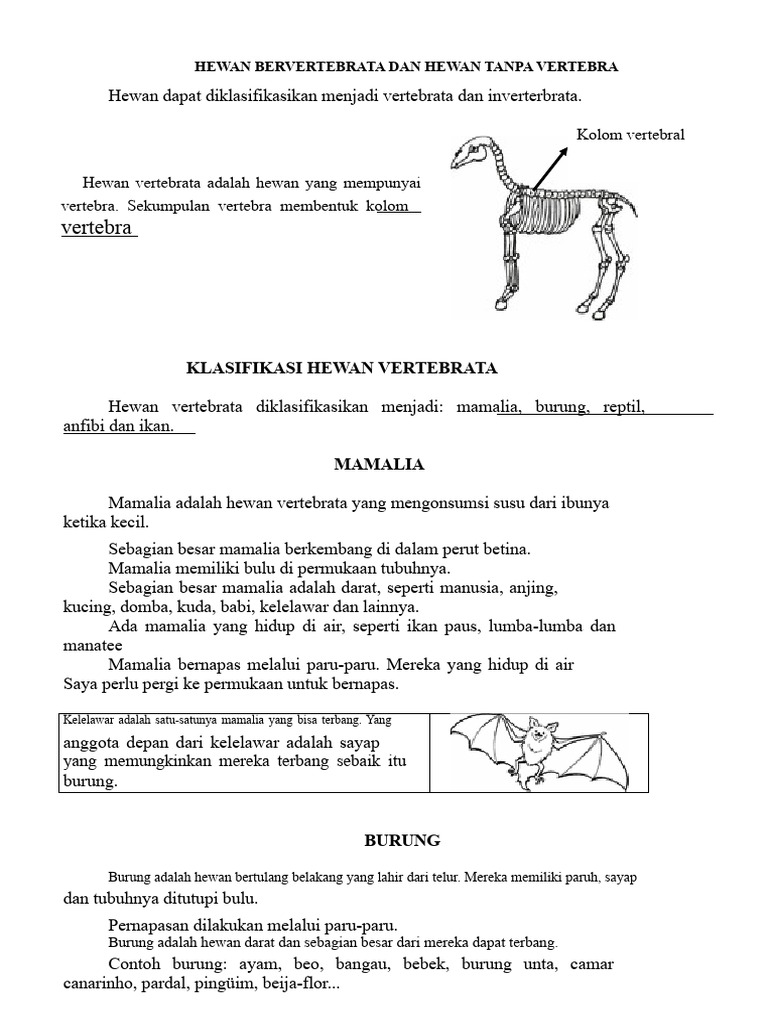 Klasifikasi Hewan Vertebrata dan Invertebrata | PDF