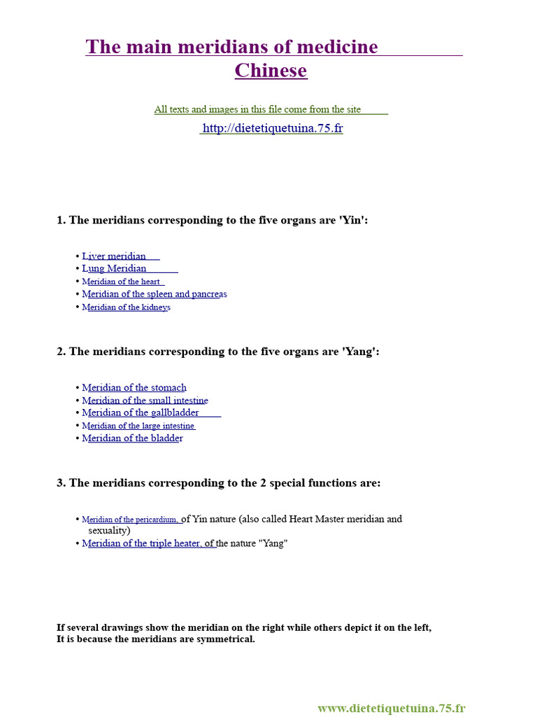 Main Meridians in Traditional Medicine | PDF | Meridian (Chinese ...