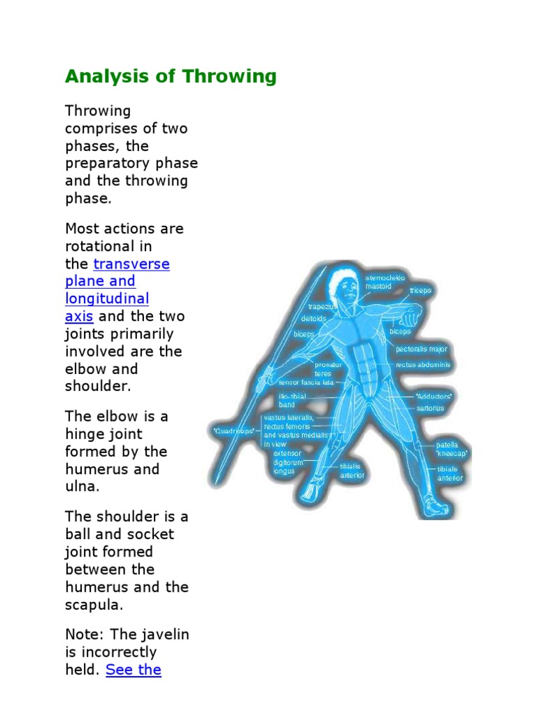 Javelin Anatomical Terms Of Motion Shoulder
