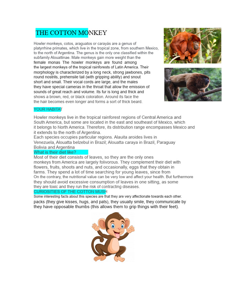 The Cotton Monkey | PDF