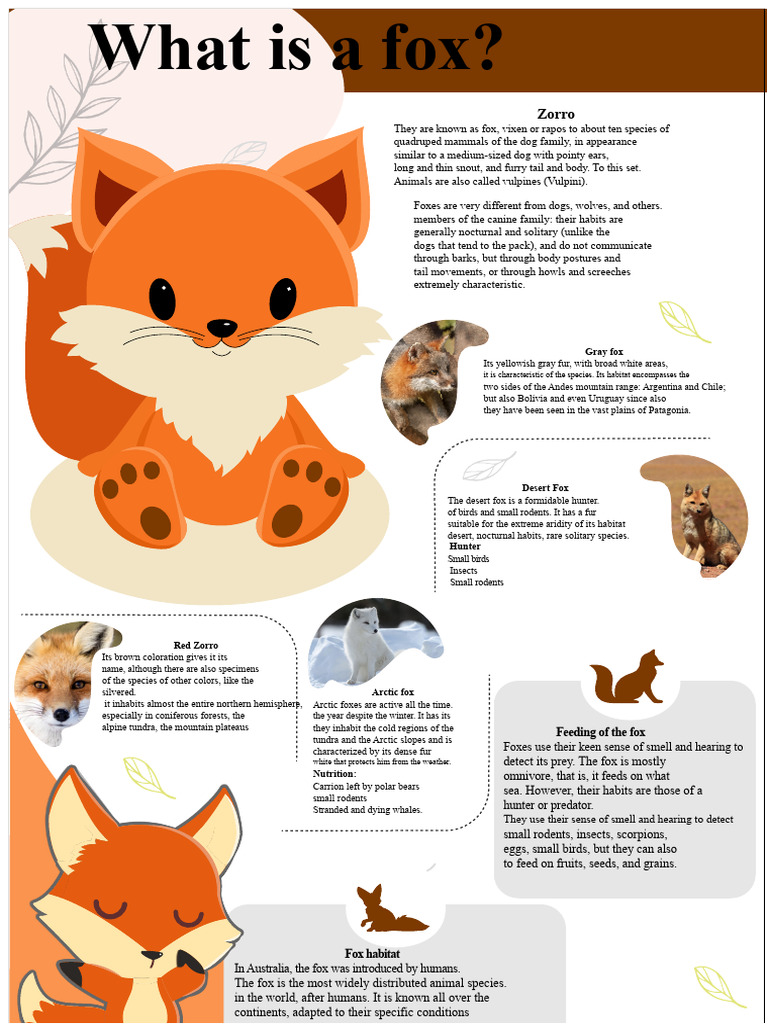 Understanding Fox Species and Habitats | PDF | Fox | Predation