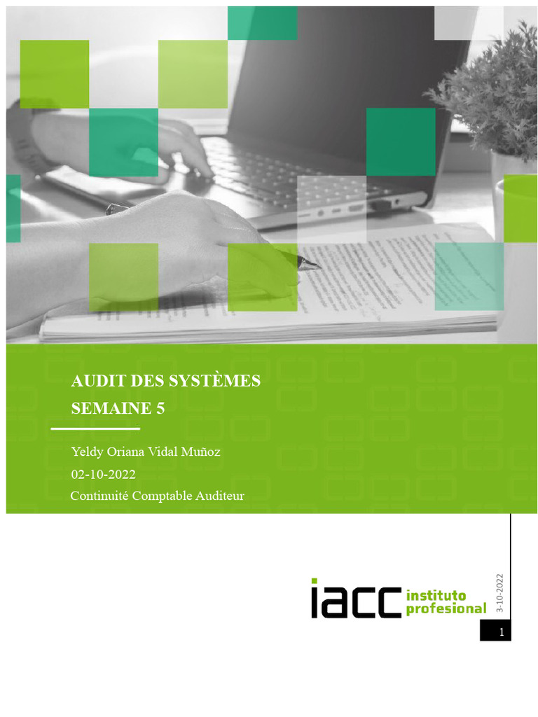 Audit Informatique : Caractéristiques et Procédures | PDF | Audit ...