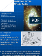 Dias Positivas Ginecolgia Posicion Fetal