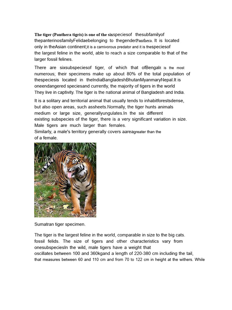 The Tiger | PDF | Tiger | Lion