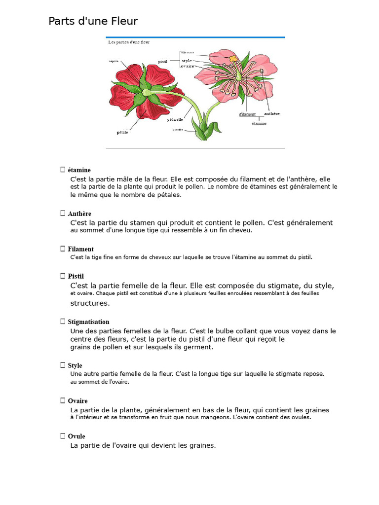 Parties d'une Fleur : Guide Complet | PDF