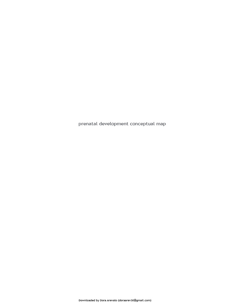 Prenatal Development Stages Explained | PDF | Embryo | Prenatal Development