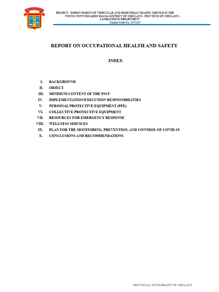 Safety and Health Report | PDF | Occupational Safety And Health | Safety