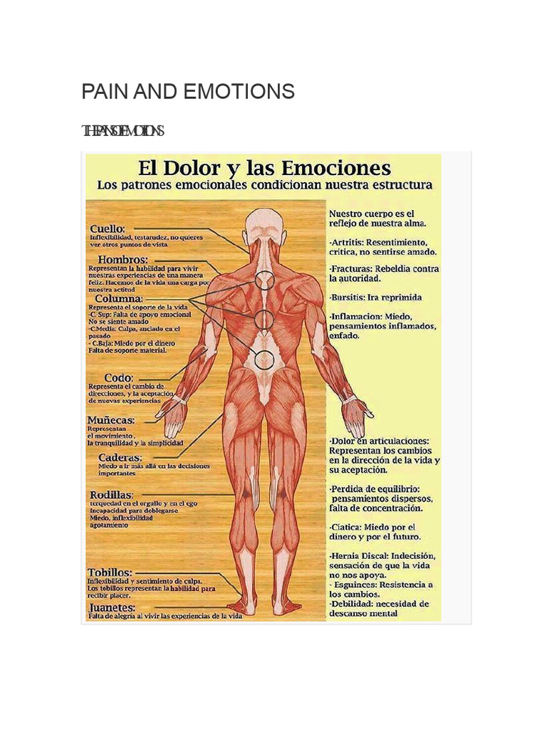 Understanding Pain and Emotions | PDF | Emotions | Pain
