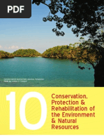 Phil.devt.Plan.chapter 10