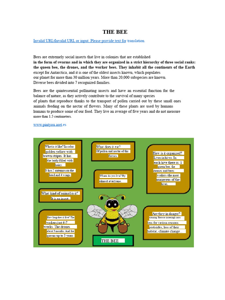 Essential Facts About Bees and Their Role | PDF
