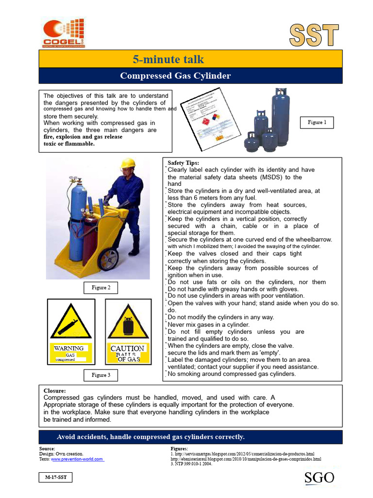 Compressed Gas Cylinder Safety Guide | PDF | Gases | Occupational ...