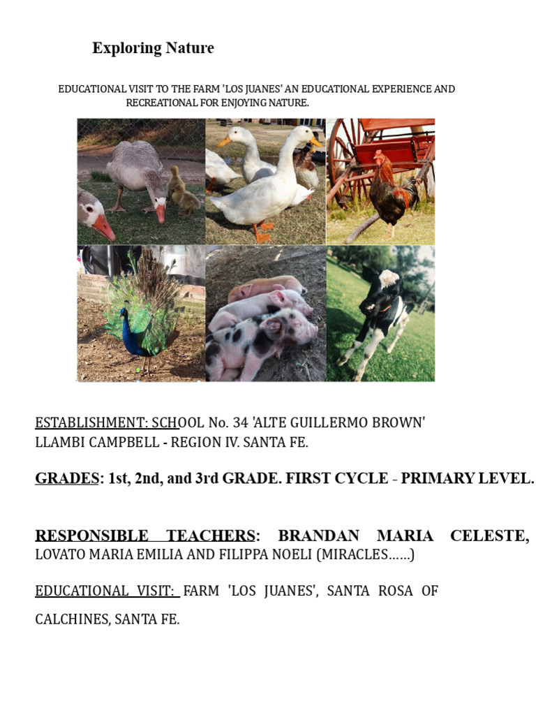 Farm Project - The Juanes | PDF | Nature | Natural Environment