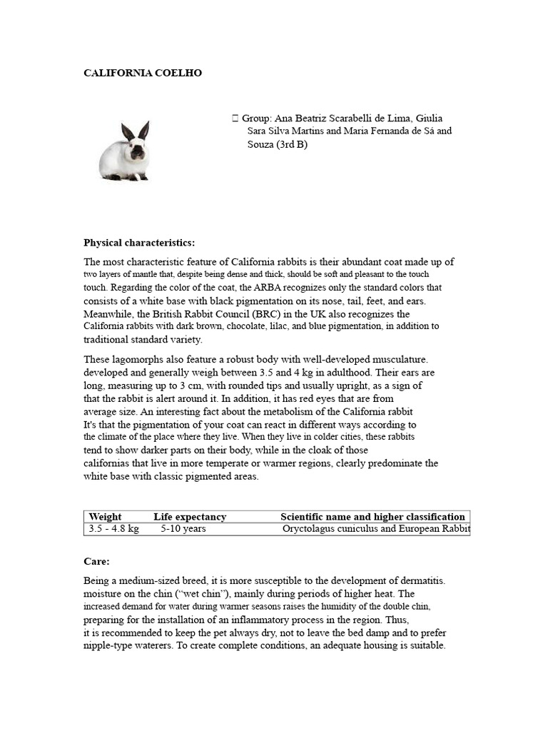 California Rabbit Care and Characteristics | PDF | Rabbit | Hypothermia