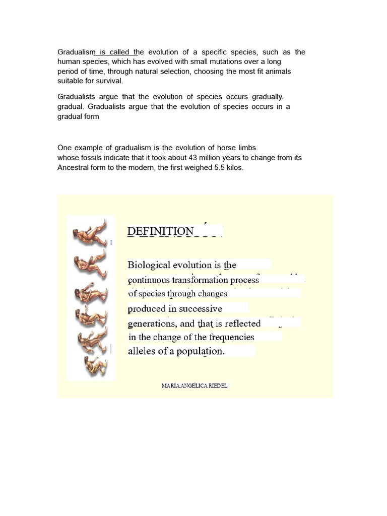 Gradualism Biology Project | PDF | Homo | Human Evolution