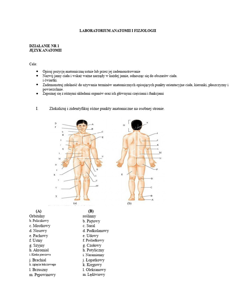 Język Anatomii | PDF