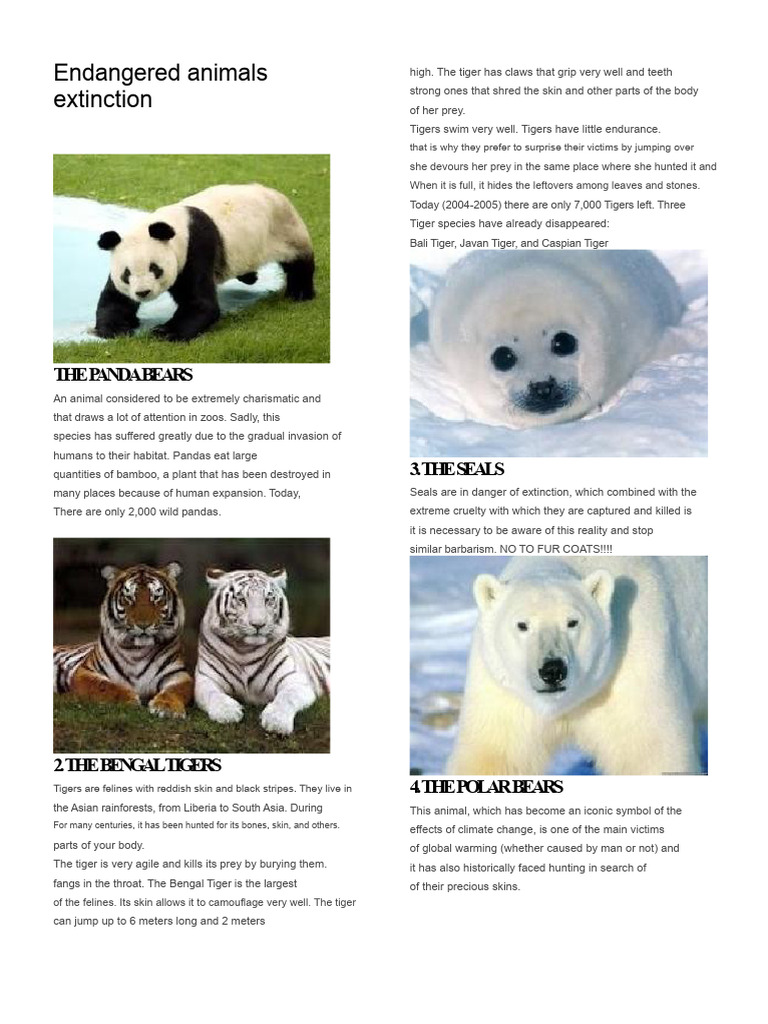 Endangered Species Overview: Tigers to Elephants | PDF | Tiger ...