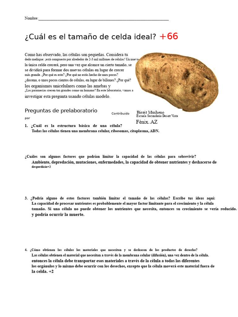 Ideal Cell Size Lab Key | PDF | Biología Celular) | Hipótesis