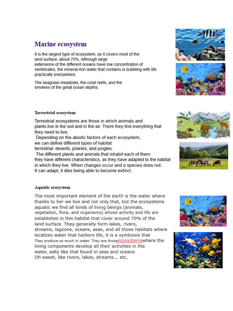 Types of Ecosystems Explained | PDF