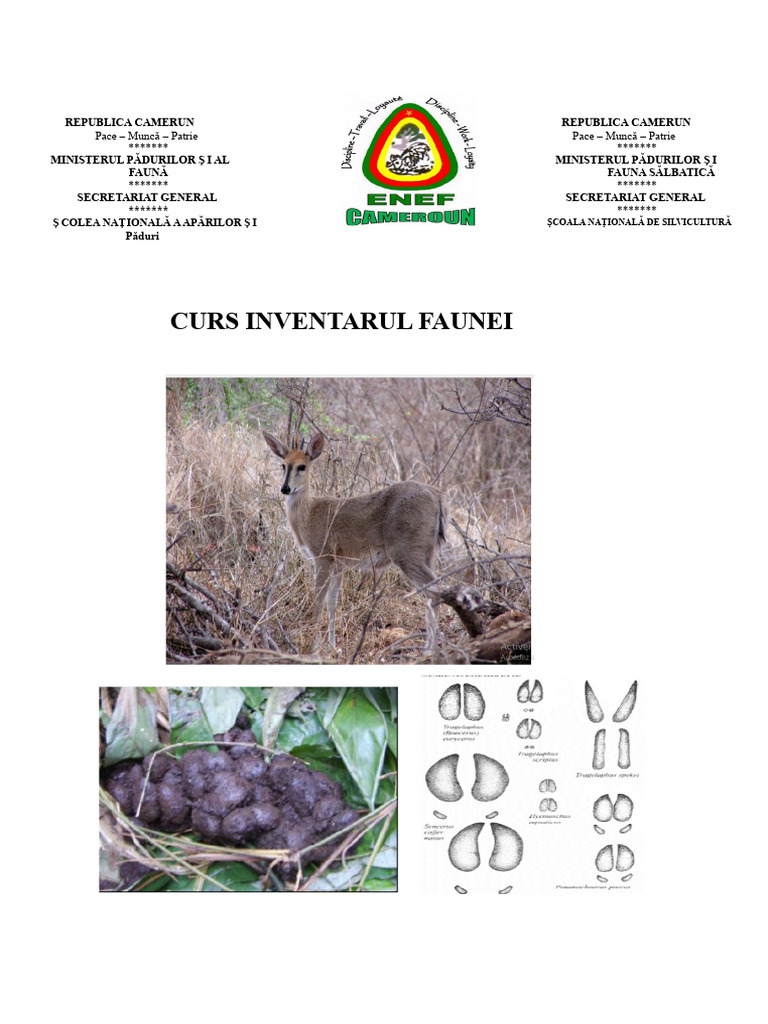 Curs Inventar Faună | PDF