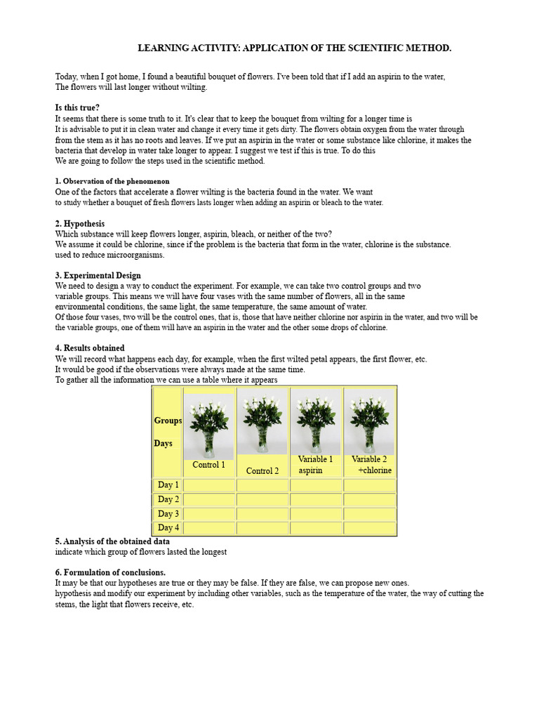 Learning Activity | PDF | Hypothesis | Methodology