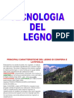 Tecnologia Del Legno