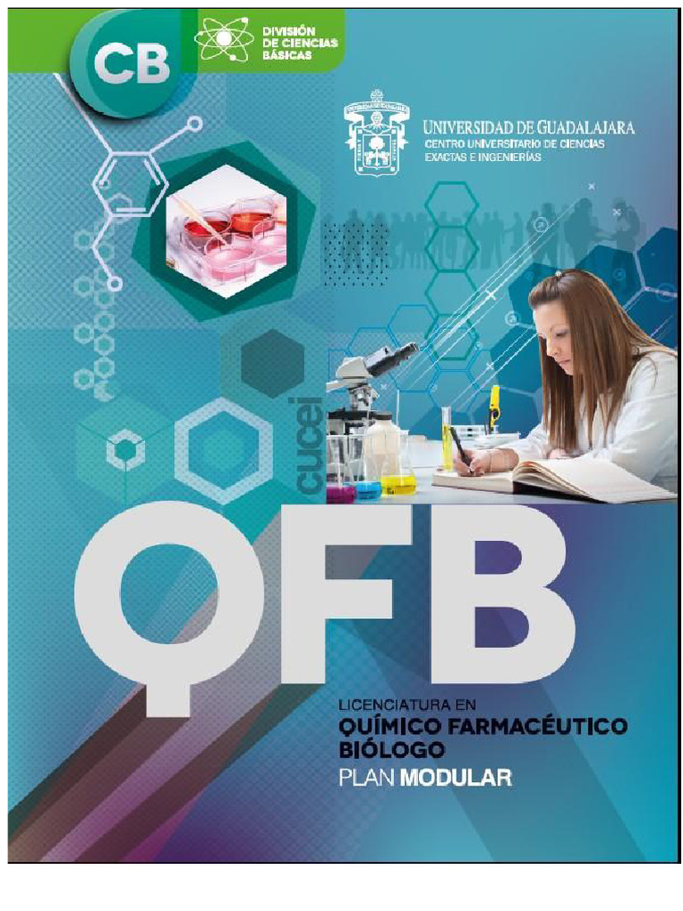 Manual QFB | PDF