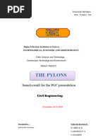 Pylon Engineering and Design Principles | PDF