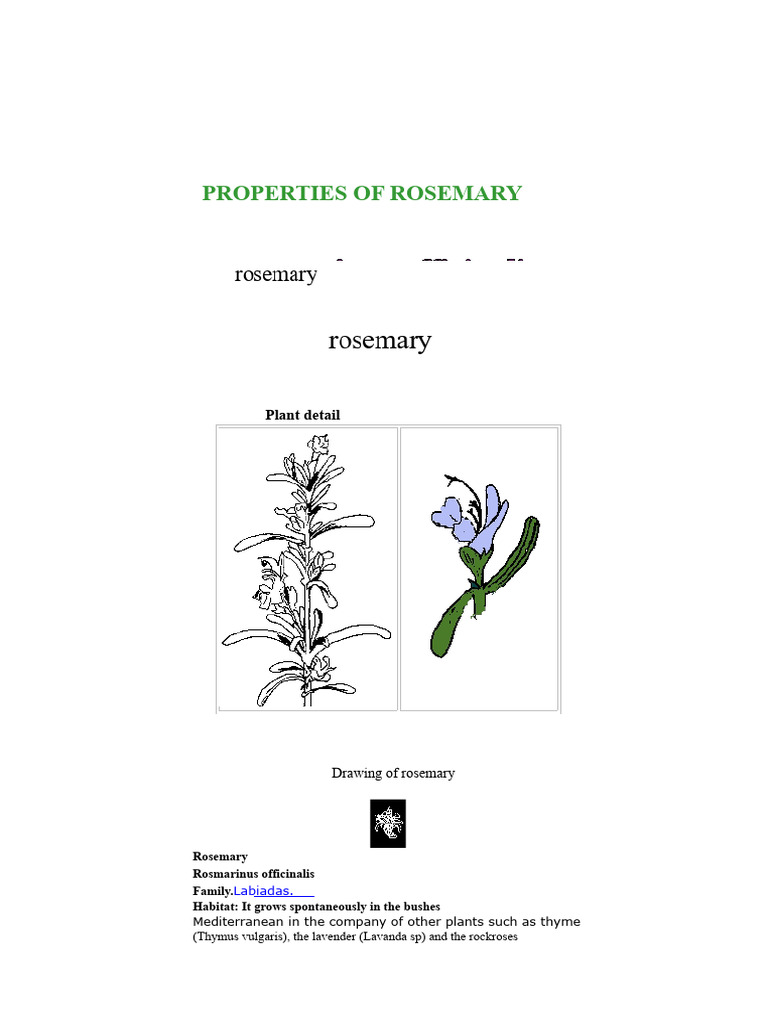 From The Rosemary | PDF | Rosemary | Skin Care