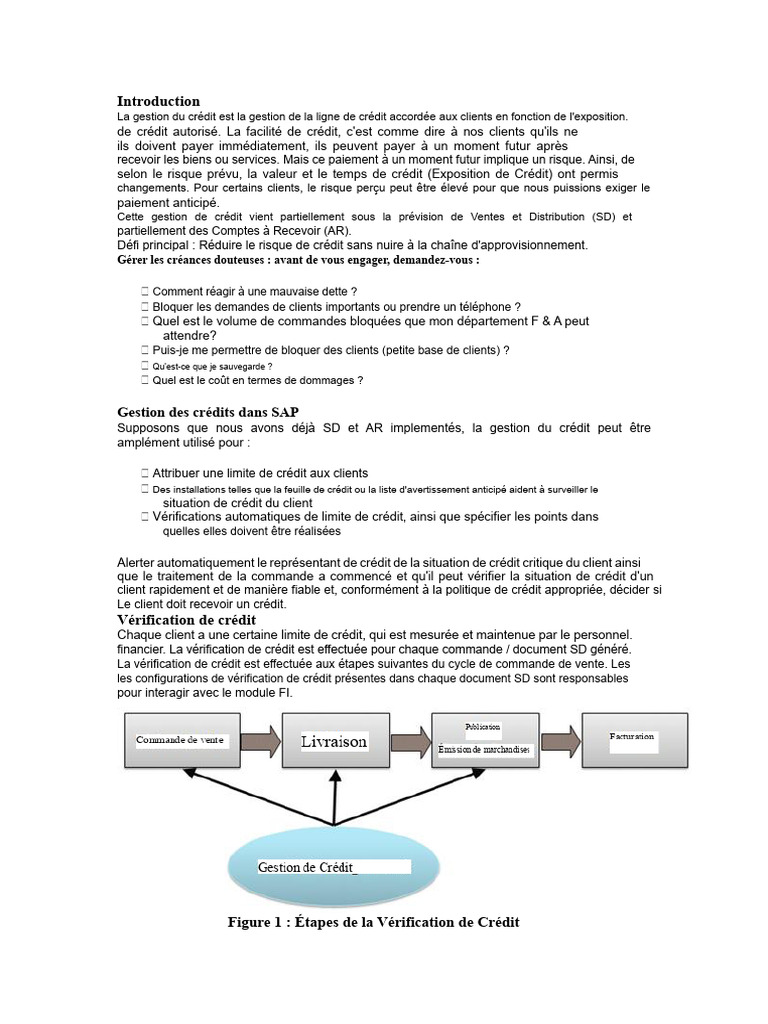 Gestion du Crédit dans SAP FD32 | PDF | Crédit | Finance et gestion ...