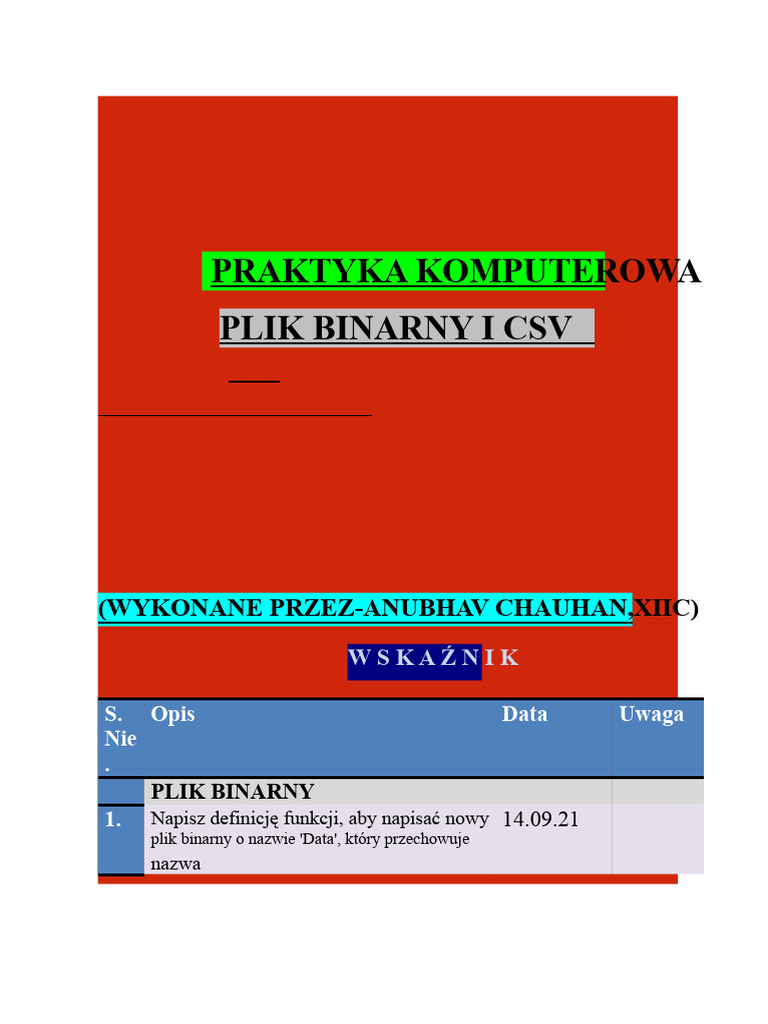 PRAKTYKA KOMPUTEROWA - Plik Binarny I CSV | PDF