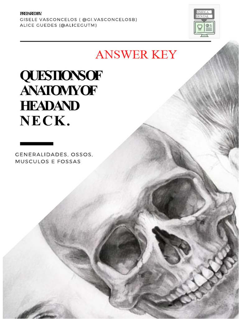 Anatomy Questions: Head and Neck Guide | PDF | Otorhinolaryngology ...