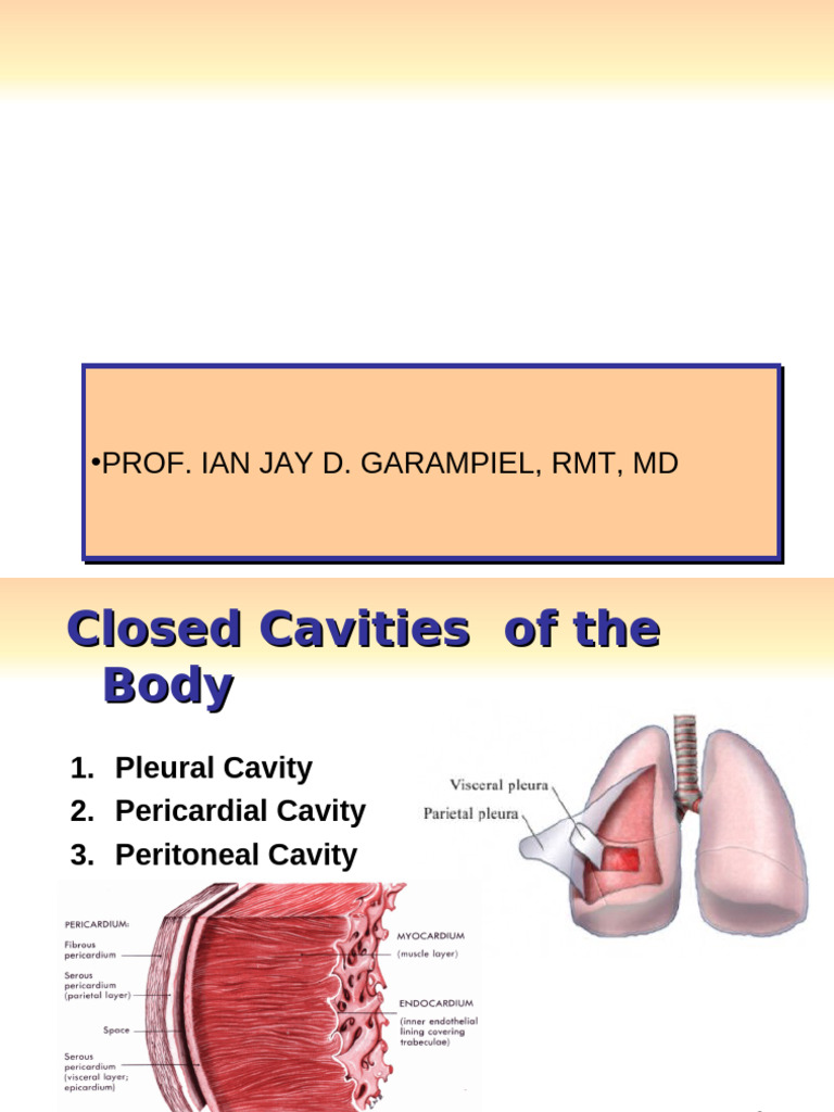 Closed Body Cavities and Serous Fluid | PDF | Medical Specialties
