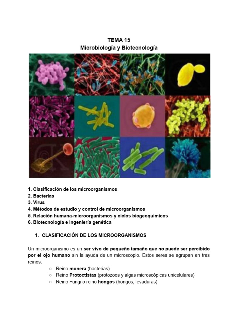 Morfología y clasificación de bacterias | PDF | Virus | Las bacterias
