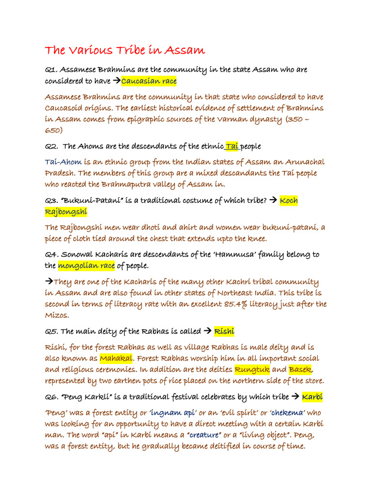 Tribes and Ethnic Groups of Assam | PDF | South Asia | Social Groups Of ...