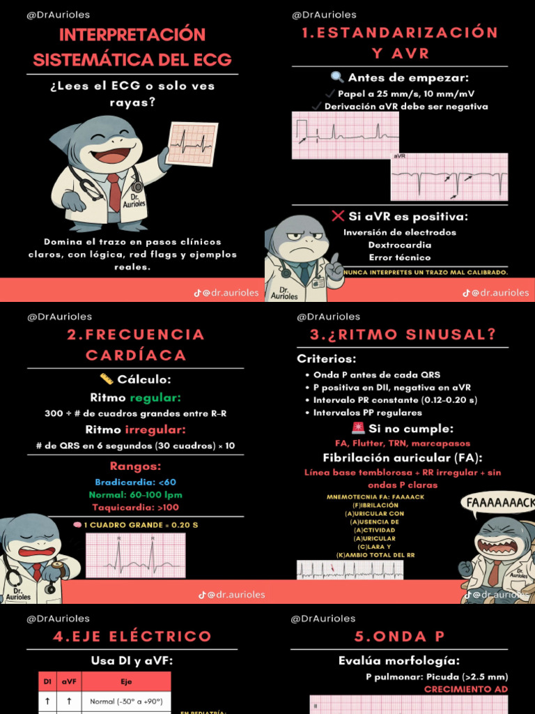 Inter Ekg | PDF