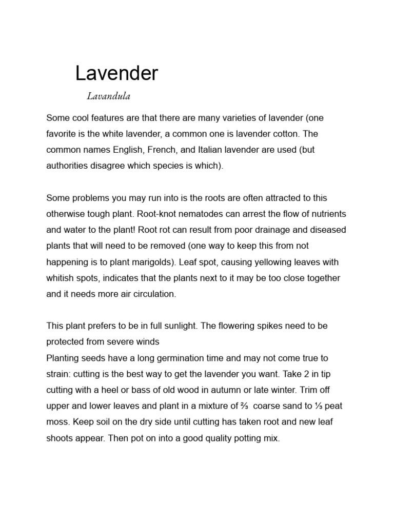 Lavender Care: Varieties & Tips | PDF