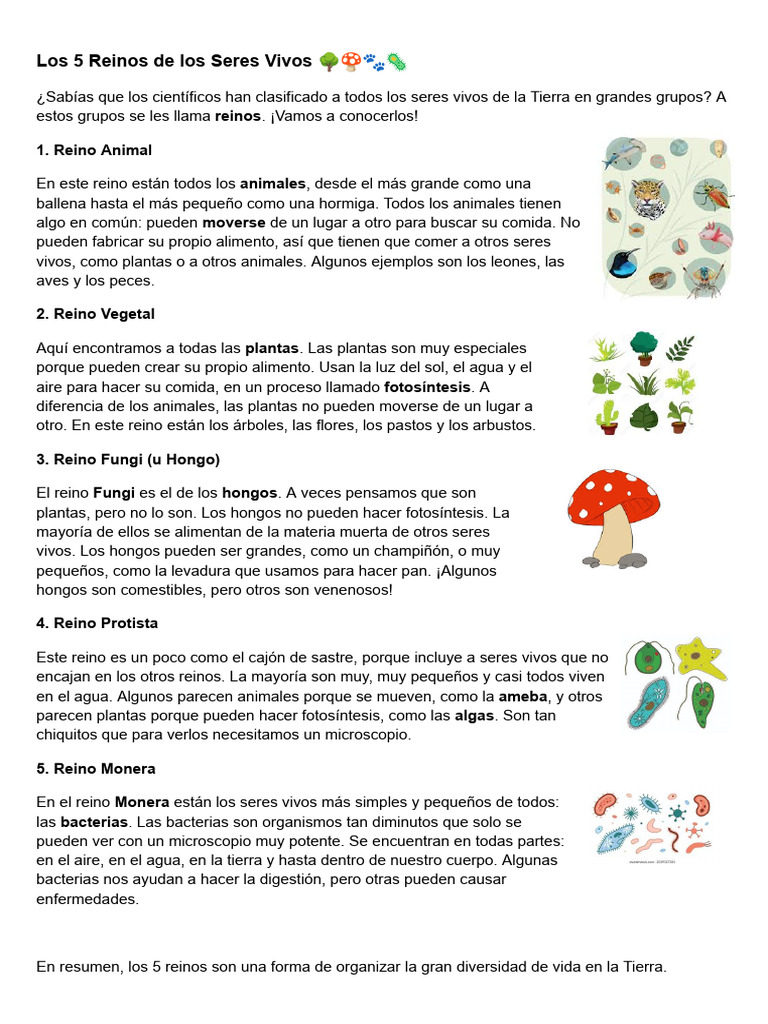 5 Reinos de los Seres Vivos Explicados | PDF