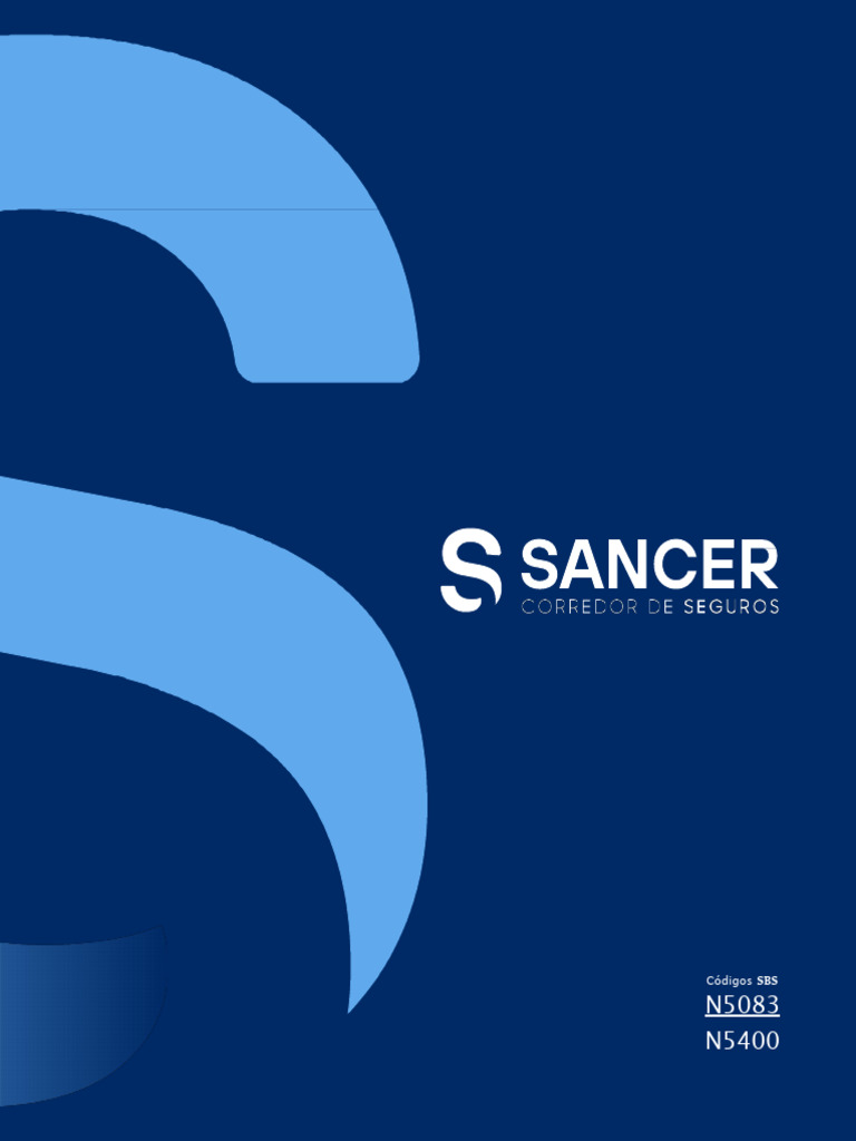 Soluciones de Seguros Personalizadas | PDF | Seguro | Sustentabilidad