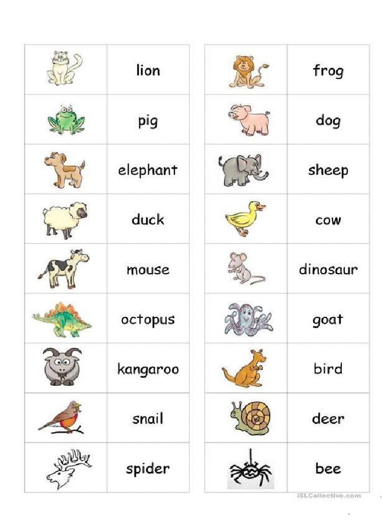 Animals | PDF