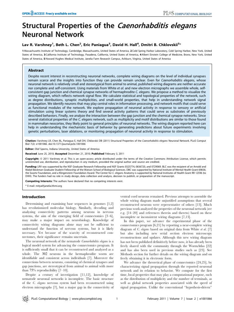 C. elegans Neuronal Network Analysis | PDF | Synapse | Neuron