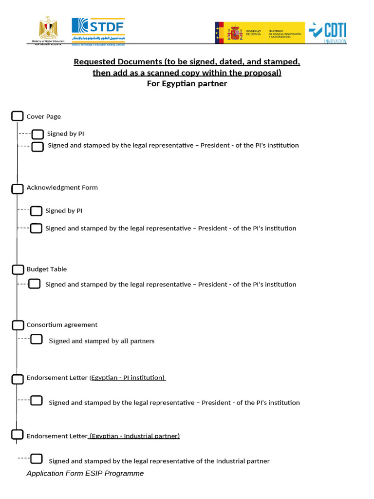 Egyptian-Spanish Innovation Program (ESIP) - Application Form | PDF