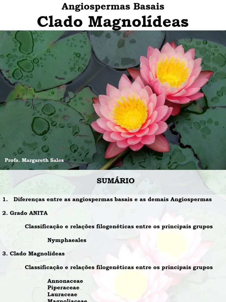 Clado Magnolídeas e Angiospermas Basais | PDF | Botânica | Áreas da ...