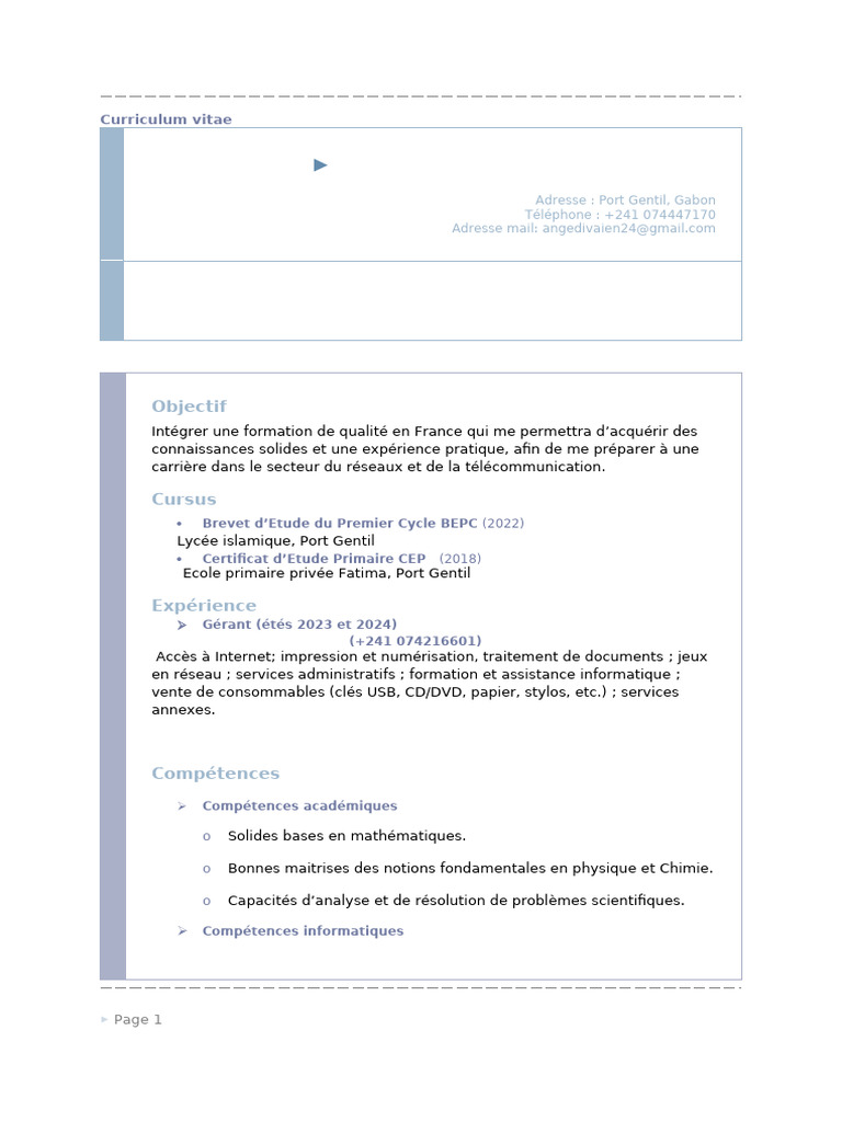 Compétences Informatiques et Objectifs Carrière | PDF | Informatique ...