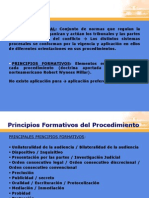 Principios Formativos Del Procedimiento - MVC