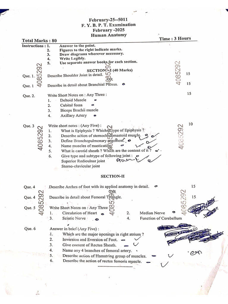 2025 - University Paper | PDF