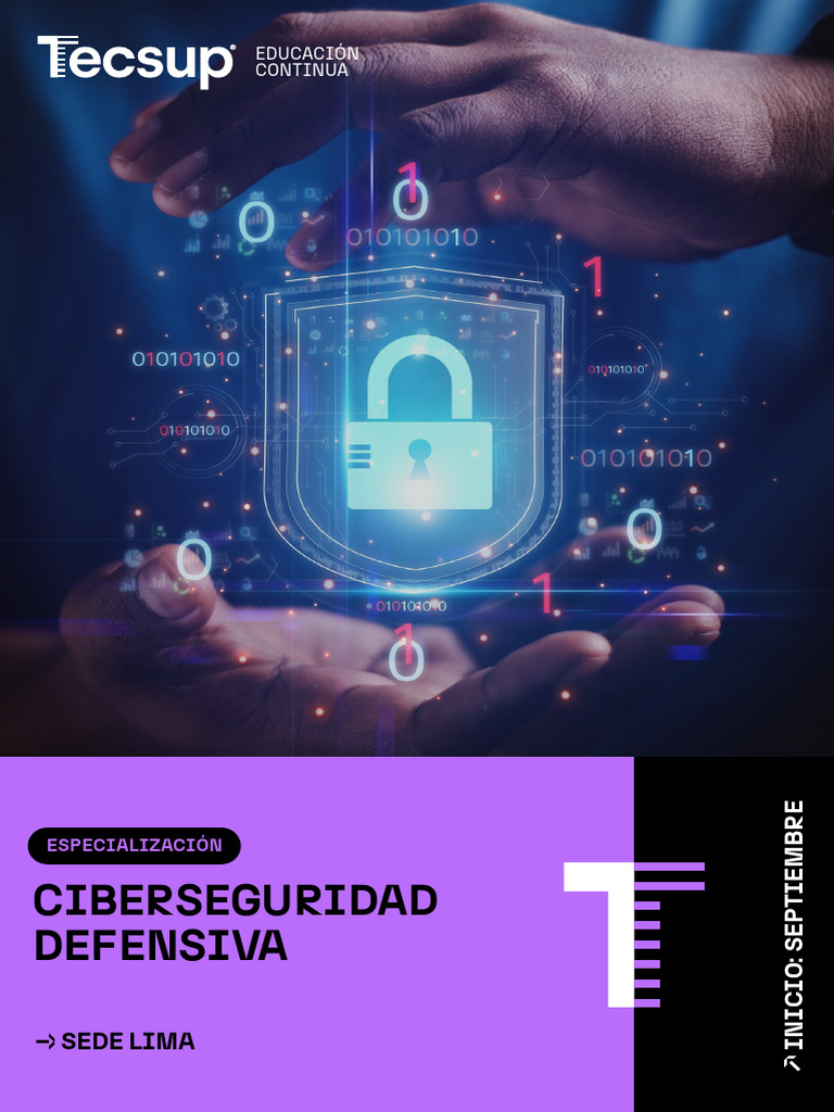 Diplomado en Ciberseguridad Defensiva | PDF | La seguridad informática ...