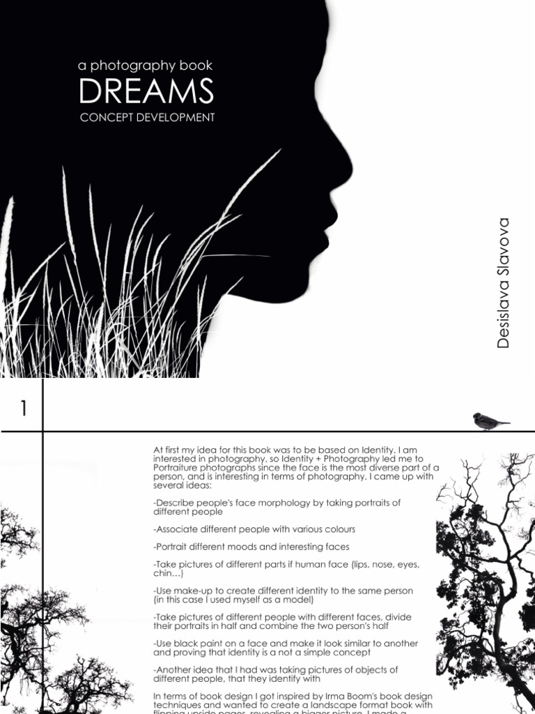 Concept Development Final | PDF