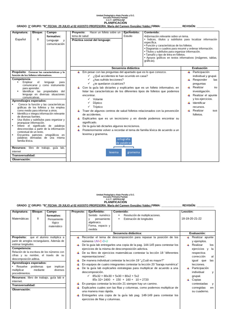 Planificación Educativa para 3° Grado | PDF | Educación primaria | Maestros